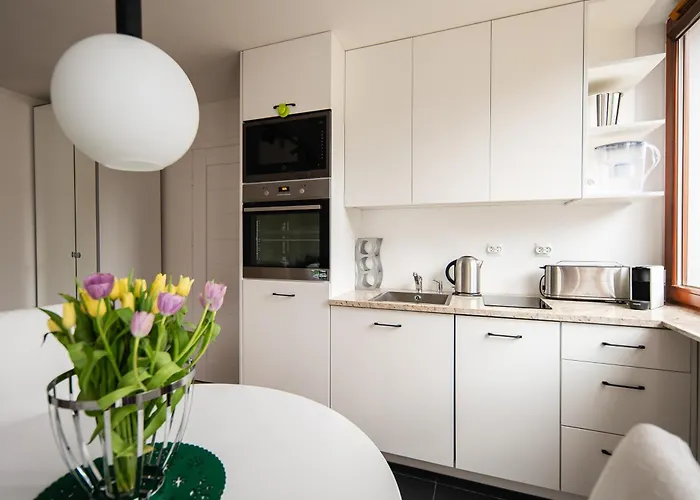 아파트 Przy Potoku